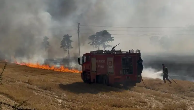 Kırklareli'nde Şok Eden Anız Yangını: Tarım Alanları Tehdit Altında!