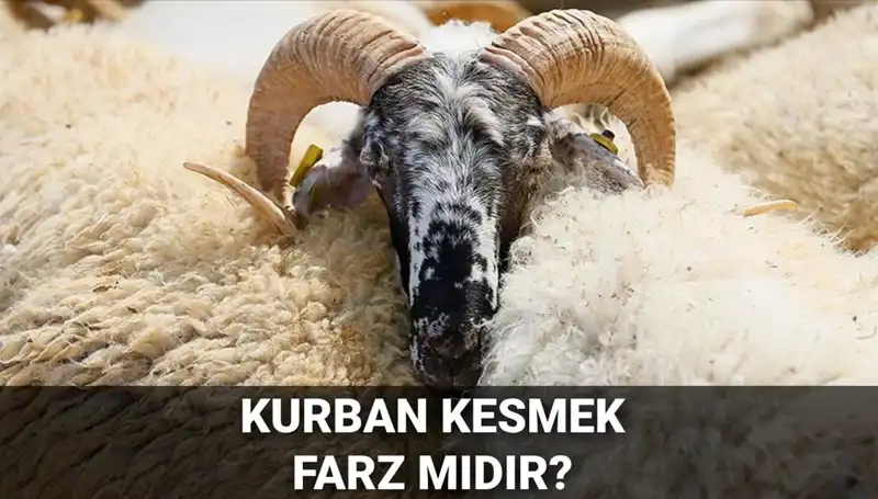 Kurban Kesiminde Diyanet'in Görüşleri: Farz Mıdır?