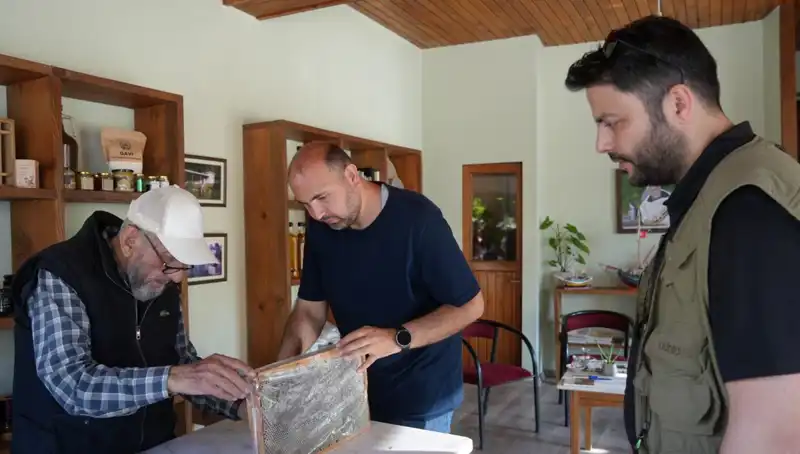 Bir Çay Kaşığıyla Hayat Kurtaran Doğal Madde: Dikkat Edilmesi Gerekenler